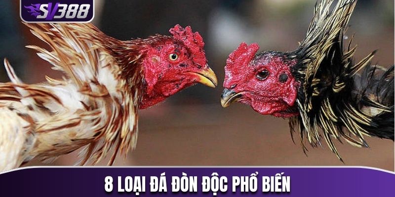 8 loại đá đòn độc phổ biến
