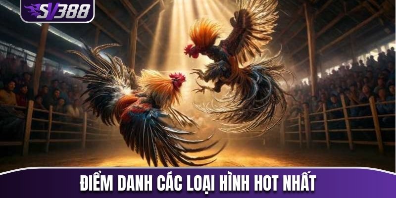 Điểm danh các loại hình hot nhất
