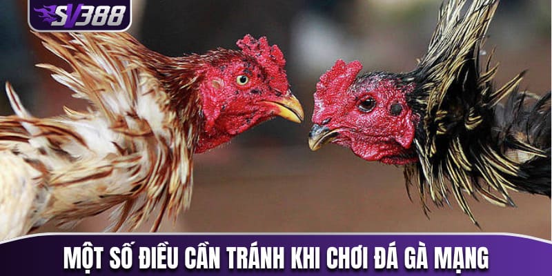 Một vài điều cần tránh khi chơi đá gà mạng