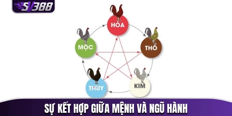 Ngũ hành và mệnh là một yếu tố quan trọng khi xem ngày tốt