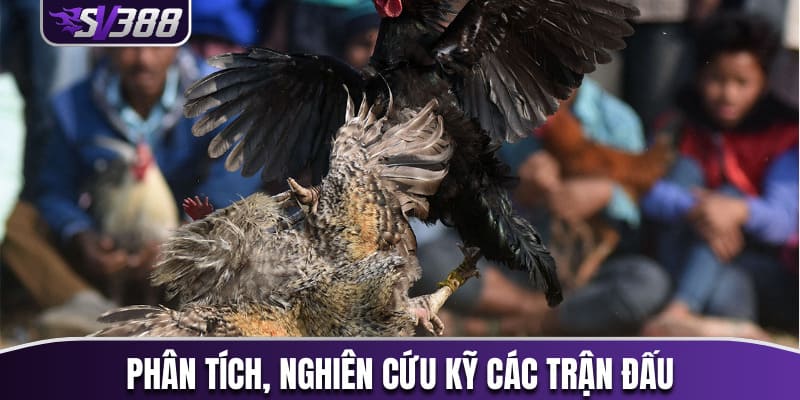 Phân tích, nghiên cứu kỹ lưỡng các trận đấu