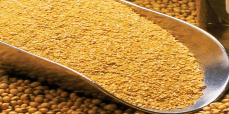 Cách nuôi gà chọi tăng cân về nguồn dinh dưỡng